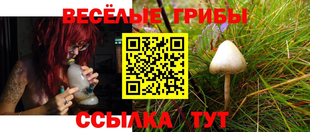 Псилоцибиновые грибы Magic Shrooms  Вход с VPN  как найти закладки  Бахчисарай 